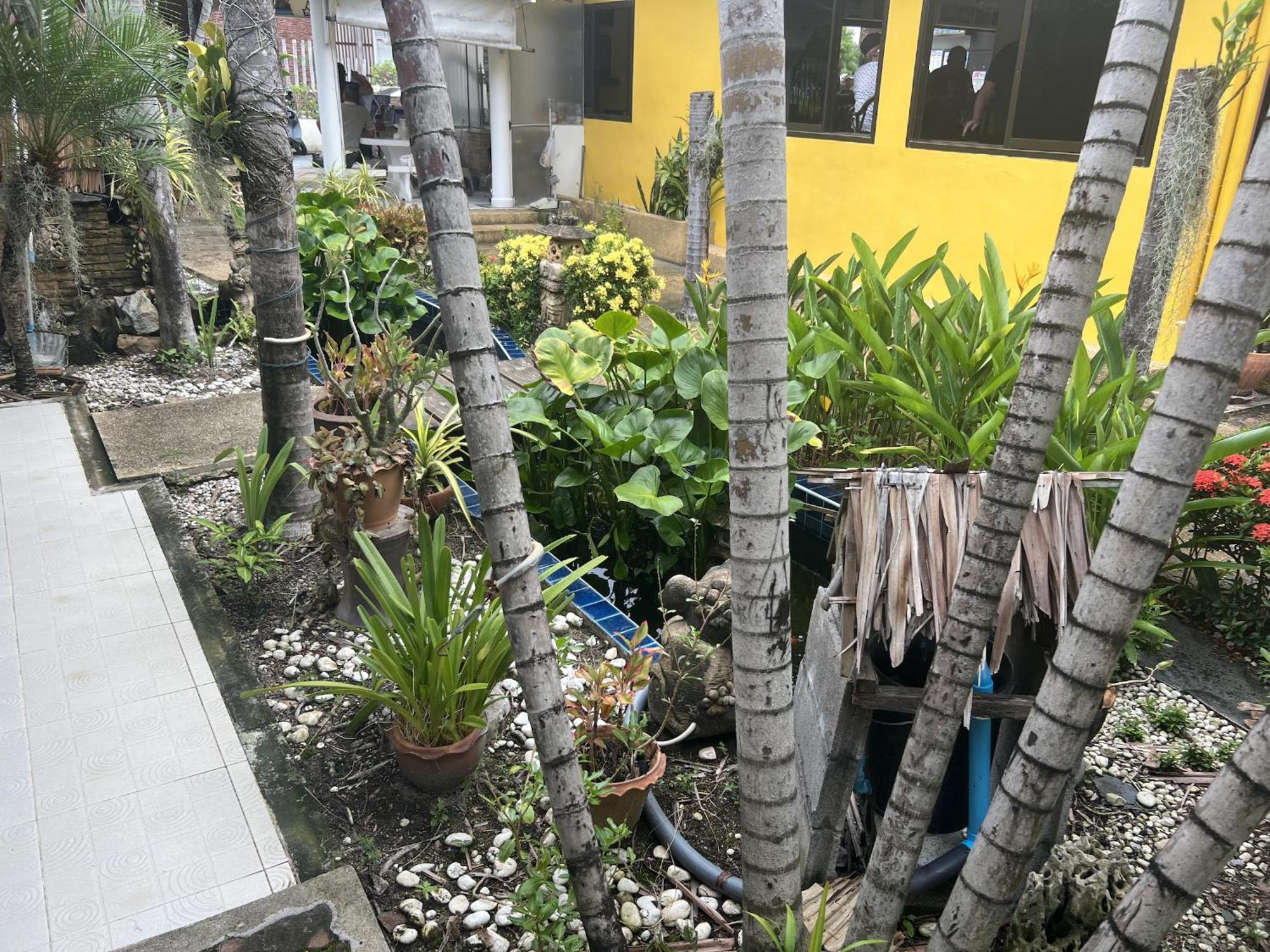 Baan Orchid Guesthouse Patong Luaran gambar